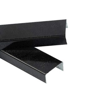 jam paper standard size colorful staples – jet black – 5000/box
