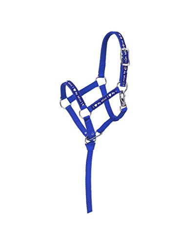 Tough 1 Nylon I Love My Mini Miniature Halter, Blue/Royal, Medium