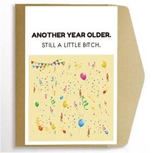 cheeky brother birthday card, sister birthday card, birthday card for sibling, still a little bitch