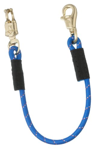 Tough 1 Bungee Trailer Tie, Royal Blue, 29