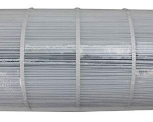 Unicel C-9699 Spa Replacement 100 Sq Ft Filter Cartridge PJB-100 FC-1490