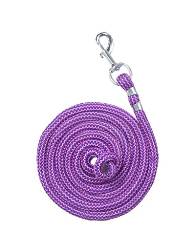 Tough 1 8' Woven Poly Cord Lead, Purple/Hot Pink, 8ft