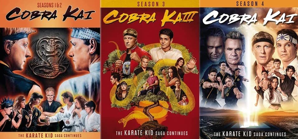 Cobra Kai - Season 1 2 3 & 4 [DVD 3-Pack]