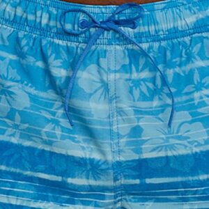 Speedo Men's Standard Swim Trunk Mid Length Redondo Floral, Reign Peacoat, Large