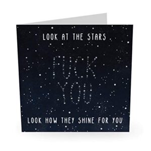 central 23 – funny birthday card – ‘look at stars’ – rude birthday card for brother or sister – happy birthday for him or her – comes with fun stickers