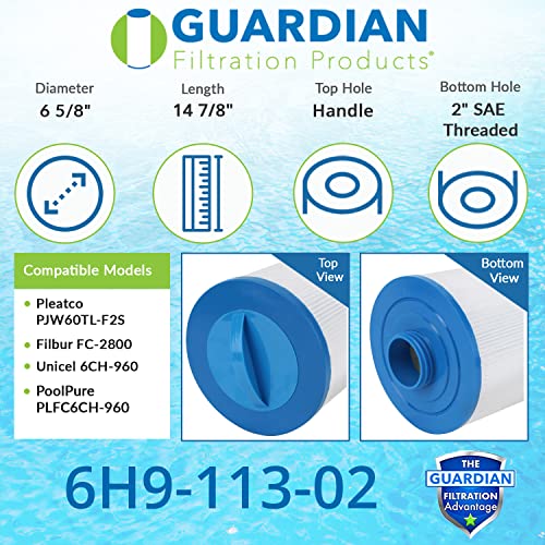 Guardian Filtration Products 2-Pack Pool Spa Filter Replaces Unicel 6CH-960, Pleatco Pjw60TL-F2S, Filbur FC-2800