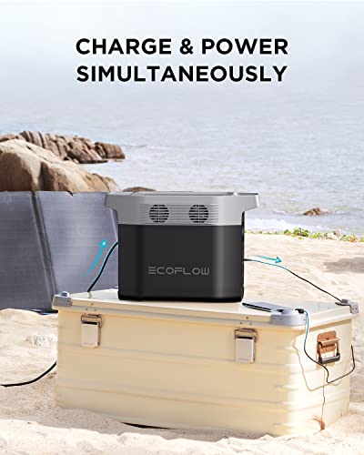 EF ECOFLOW Portable Power Station DELTA 1300, 1260Wh Solar Powered Generator with 6 x 1800W AC Outlets, Solar Generator(Solar Panel Optional) for Outdoor Camping