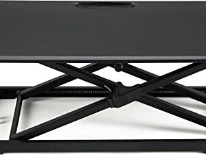 STAPLES 27W Portable Laptop Riser, Black (45516)