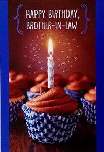 happy birthday brother-in-law greeting card – just wanted to tell you how much you mean to the family