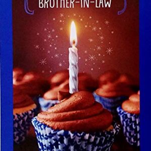 Happy Birthday Brother-in-Law Greeting Card - Just Wanted To Tell You How Much You Mean To The Family