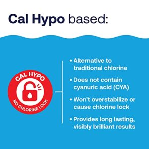 HTH Pool Care Shock, Swimming Pool Chlorinator Boosts Chlorine Levels, Cal Hypo Formula, 13.3 oz (Pack of 6)