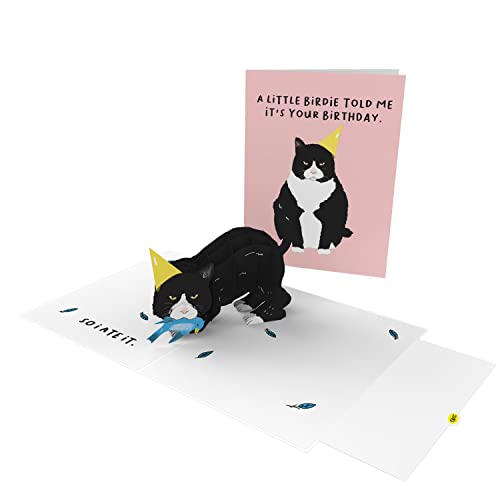 CENTRAL 23 Pop Up Birthday Cards For Women & Men - 3D Pop Up Cards for Cat Lovers - Funny Cat Birthday Card for Mom Dad Daughter Son Sister Brother