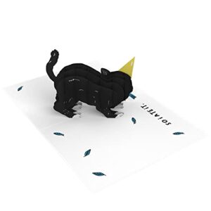 CENTRAL 23 Pop Up Birthday Cards For Women & Men - 3D Pop Up Cards for Cat Lovers - Funny Cat Birthday Card for Mom Dad Daughter Son Sister Brother