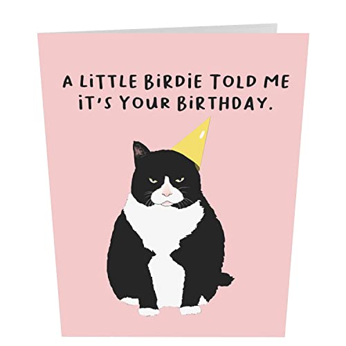 CENTRAL 23 Pop Up Birthday Cards For Women & Men - 3D Pop Up Cards for Cat Lovers - Funny Cat Birthday Card for Mom Dad Daughter Son Sister Brother