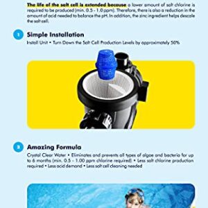 Pool RX 102001 6 Month Swimming Pool Algaecide Replacement, Single Unit, Blue