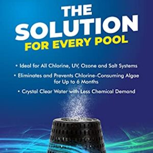 Pool RX 102001 6 Month Swimming Pool Algaecide Replacement, Single Unit, Blue