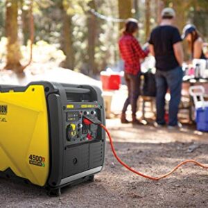 Champion Power Equipment 200988 4500-Watt Dual Fuel RV Ready Portable Inverter Generator, Electric Start