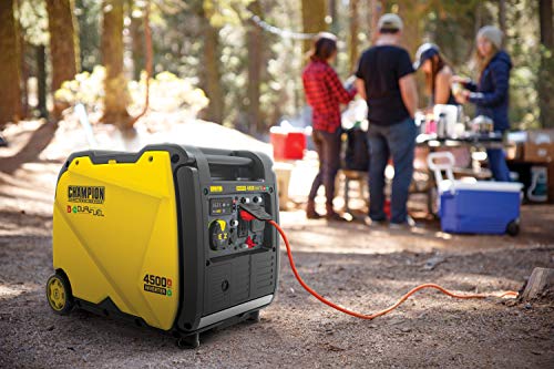 Champion Power Equipment 200988 4500-Watt Dual Fuel RV Ready Portable Inverter Generator, Electric Start