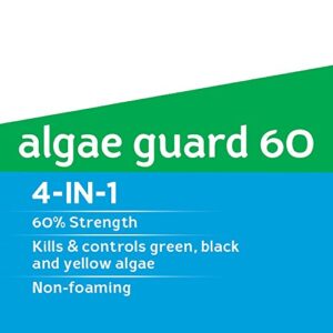 hth Pool Algaecide Super Algae Guard 60 (67064)