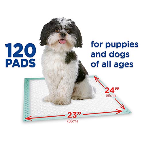 Member's Mark Member's Mark Puppy Multipurpose absorbent Pads Net Count 120 Pads, 120 Count