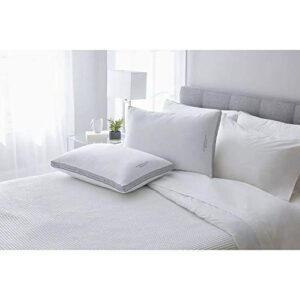 Hotel Premier Collection Queen Pillows by Member's Mark (2-pk.)