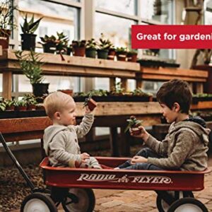 Radio Flyer Classic Red Wagon