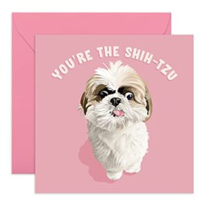 central 23 – cute animal birthday card – “you’re the shih-tzu”- for men & women – mom dad husband wife brother sister cute cards – comes with fun stickers