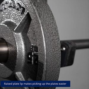 Titan Fitness 25 LB Cast Iron Olympic Plates, Sold In Pairs, Classic Weight Plate Design, Silver Hammer Finish