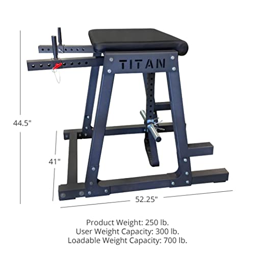 Titan Fitness H-PND, Reverse Hyperextensions Lower Body Machine, Rated 550 LB, Specialty Home Gym Machine for Physical Therapy, Back Rehab Exercises, and Everyday Training