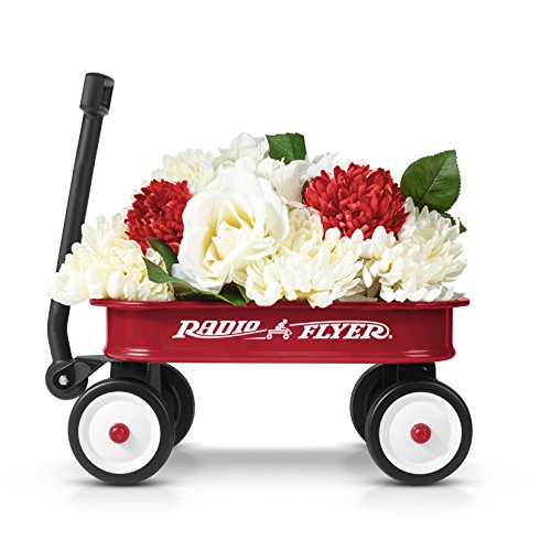 Radio Flyer Kids 12.5 Inch Little Red Toy Wagon, Small Toy Decor Wagon