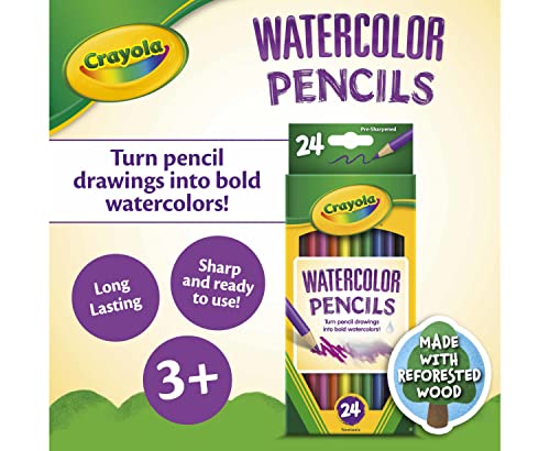 Crayola 24ct Watercolor Colored Pencils, Watercolor Paint Alternative, Craft Supplies