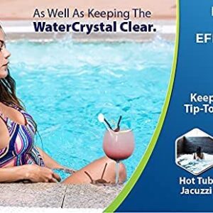 Black Diamond Stoneworks Ultimate Spa Pool Filter Cleaner Fast-Acting Spray and Ultimate Spa Pool Natural Enzyme Water Clarifier Treatment for Hot Tub. 2-Quart Bundle