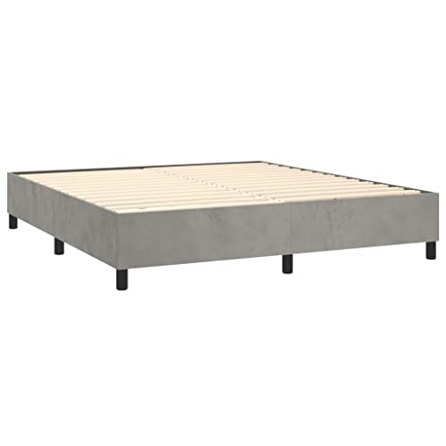 vidaXL Box Spring Bed Frame Home Indoor Bed Accessory Bedroom Upholstered Double Bed Base Furniture Light Gray 76"x79.9" King Velvet