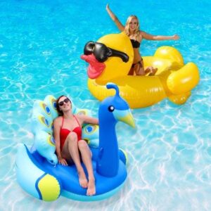 robelle duck and peacock swimming pool float