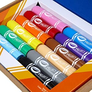 Crayola Project: Quick Dry Paint Sticks 12ct [Amazon Exclusive]