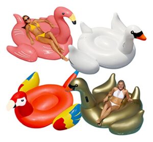 swimline golden goose/swan/flamingo/parrot floats for swimming pools (4 pack)