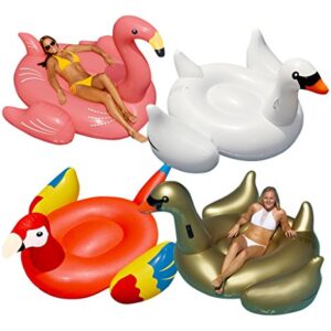 Swimline Golden Goose/Swan/Flamingo/Parrot Floats for Swimming Pools (4 Pack)
