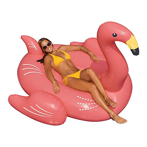 Swimline Golden Goose/Swan/Flamingo/Parrot Floats for Swimming Pools (4 Pack)