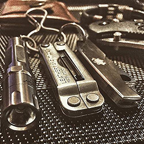 LEATHERMAN, Micra Keychain Multitool with Spring-Action Scissors and Grooming Tools, Stainless Steel, Built in the USA, Stainless