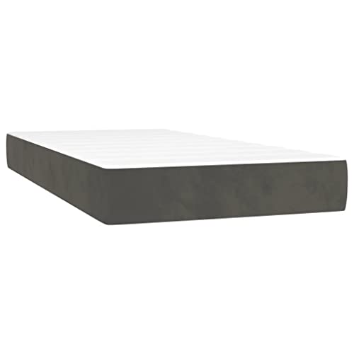 vidaXL Box Spring Bed with Mattress Home Bedroom Mattress Pad Single Bed Frame Base Foam Topper Furniture Dark Gray 39.4"x79.9" Twin XL Velvet