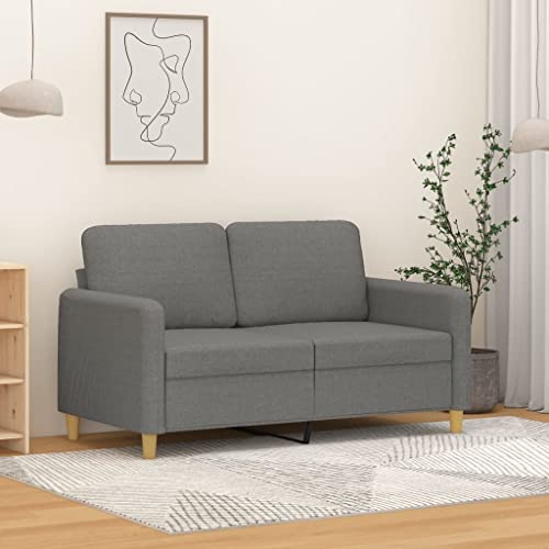 vidaXL Sofa Chair Home Indoor Living Room Single Relax Club Seating Upholstered Leisure Sofa Comfort Tub Armchair Furniture Dark Gray Fabric