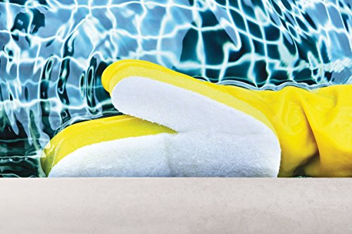 Robelle K605DIS-02 Scrub' O Swimming Pool & Spa Scrubbing Mitt (2 Pack)