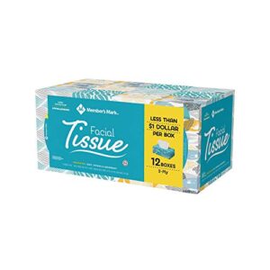 an item of member’s mark 2-ply facial tissue, 12 pk, 1,920 tissues (160 ct. per box) – pack of 1