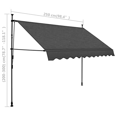 vidaXL Manual Retractable Awning with LED 98.4" Anthracite