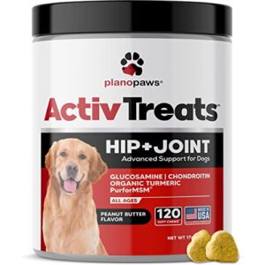 glucosamine for dogs hip and joint supplement – safe joint support for dogs – natural dog joint supplement with glucosamine chondroitin msm turmeric – 120 joint care chews for dogs activtreats