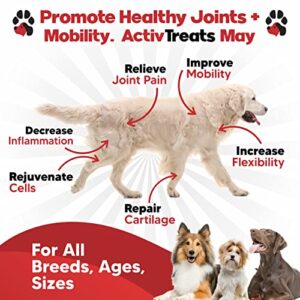 Glucosamine for Dogs Hip and Joint Supplement - Safe Joint Support for Dogs - Natural Dog Joint Supplement with Glucosamine Chondroitin MSM Turmeric - 120 Joint Care Chews for Dogs ActivTreats