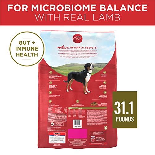 Purina ONE Dry Dog Food Lamb and Rice Formula - 31.1 Lb. Bag