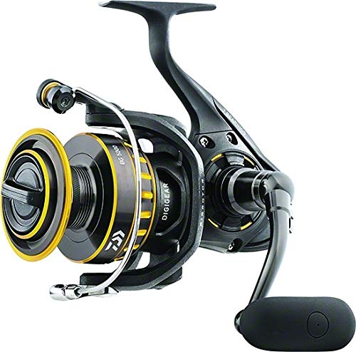 Daiwa BG6500 BG Saltwater Spinning Reel