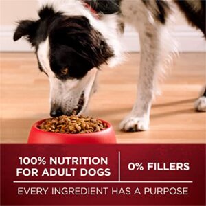 Purina ONE High Protein, Natural Dry Dog Food, True Instinct With Real Turkey & Venison - 7.4 lb. Bag