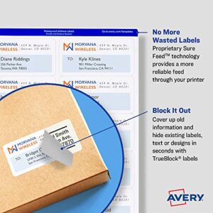 Avery Printable Blank Shipping Labels, 2.5" x 4", White, 200 Labels, Inkjet Printer, Permanent Adhesive (5815)